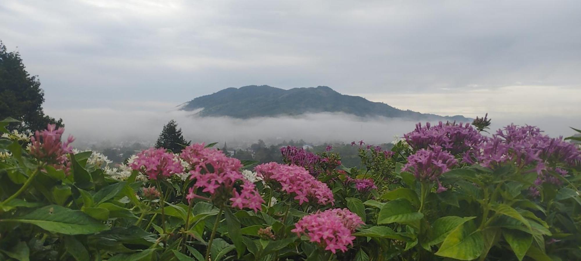 Homestay Chan Que Bao Loc Exteriér fotografie